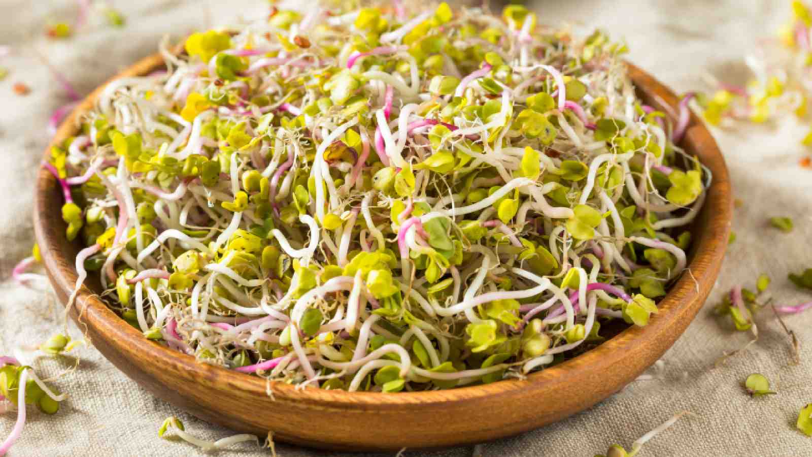 Sprouts are perfect immunity booster! Here’s why